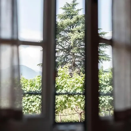 Weingut Kornell - Schafferhaus Cosmas Und Zeder Apartment Terlano Exterior photo